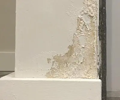 The lower portion of an internal white wall with bubbled paintwork, showing the spread of white mould.